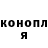 Конопля гибрид Amina Pachaeva
