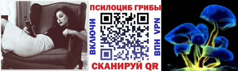 Купить закладки  Сковородино  Галлюциногенные грибы мицелий 